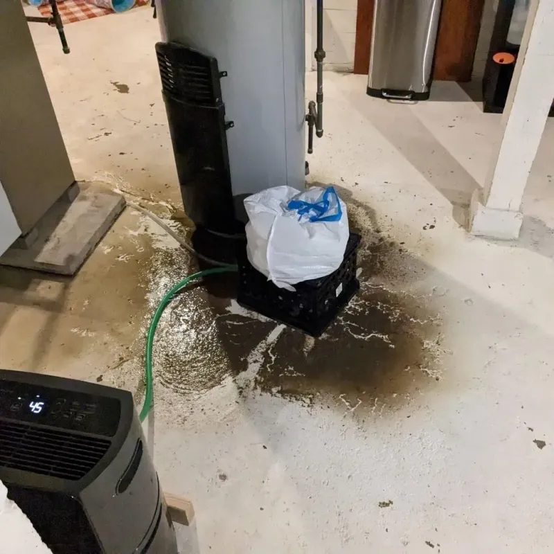 Sewage Backup Cleanup Service in Webster County, MO